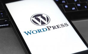 wordpress-5.6 :-les-nouveautes-de-la-mise-a-jour-de-decembre-2020