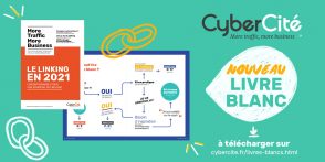 Guide SEO : comment améliorer son linking pour mieux se positionner