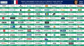 e-commerce-en-france-:-le-top-100-des-entreprises-les-plus-performantes