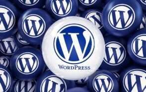 monetiser-un-site-wordpress-:-les-conseils-d’alex-borto,-fondateur-de-wpmarmite