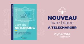 comment-mettre-en-place-sa-strategie-de-netlinking-:-les-conseils-de-cybercite