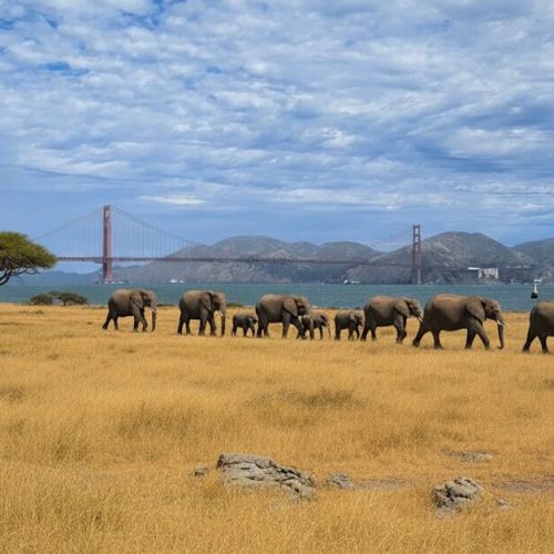 gemini-2.5-flash-image-:-le-modele-nano-banana-globalement-deploye