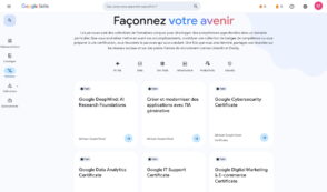 google-lance-skills,-sa-nouvelle-plateforme-pour-se-former-a-l’ia