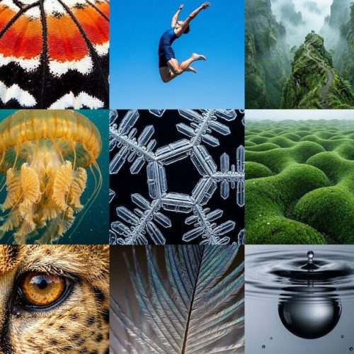 microsoft-presente-mai-image-2,-la-nouvelle-mouture-de-son-generateur-d’images-par-ia